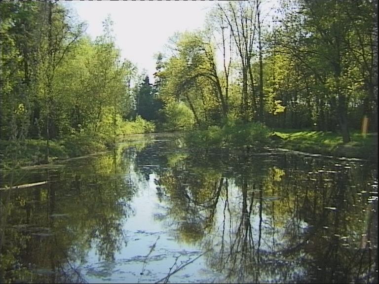 Wilder-Fluss